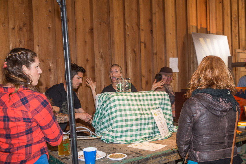 New Bohemia Spring Fest 2015